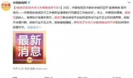 去年娱乐网吃瓜名单,盘点去年热门事件与人物