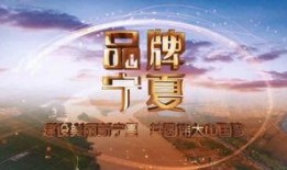 宁夏卫视在线直播观看