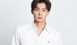 爆料张铭恩娱乐圈事件视频,真相与争议交织