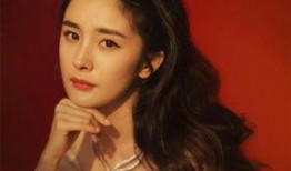 日媒爆料杨幂视频大全,日媒爆料引发热议