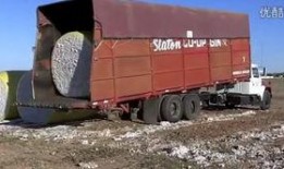 原神卡车爆料视频下载,新角色、新地图及神秘事件一网打尽