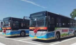 张家口公交车爆料新闻最新,多车相撞，伤亡情况引关注