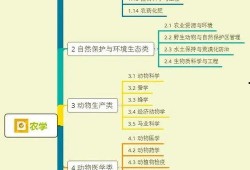 热联爆料视频大全集下载