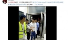 李靓颖爆料视频播放大全,娱乐圈幕后真相大曝光