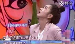 苏醒微博爆料何洁视频,真相背后引发热议