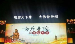 普陀山用餐爆料视频播放,揭秘热门用餐爆料视频背后的美味佳肴