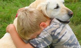 娱乐吃瓜酱小孩扇狗狗嘴巴子,娱乐吃瓜酱见证温馨一幕