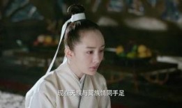 玉魂电视剧在线观看,穿越时空的守护传奇在线观看之旅