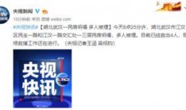 武汉爆料最新新闻事件,聚焦城市热点事件追踪