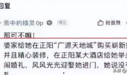 爆料大王樊小慧视频播放,揭秘背后真相与争议