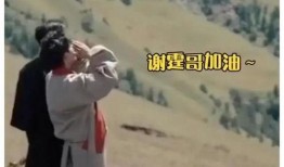 娱乐大瓜爆料姐弟恋小说,姐弟情缘的甜蜜纠葛