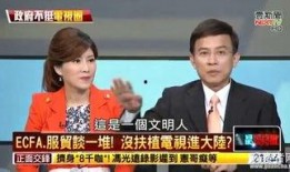 爆料台湾名嘴名单大全视频