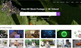 抖音美女爆料视频下载,下载背后的故事