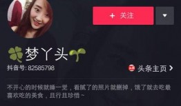 抖音的爆料怎么发视频,如何轻松制作热门视频