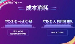 媒体爆料范文素材视频,范文素材视频背后的故事