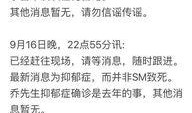 最新爆料抑郁症的视频,最新视频揭示心理健康危机