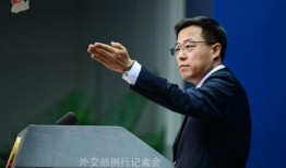 赵立坚最新回应视频爆料