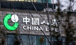 中国人寿员工最新爆料