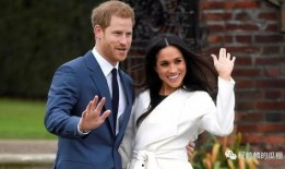 哈里王子美国爆料视频播放,王室秘闻大揭秘