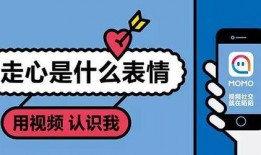 娱乐爱豆爆料文案句子图片