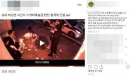 爆料真实视频事件大全,盘点那些震撼人心的爆料瞬间