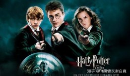 哈利新年爆料视频大全,揭秘精彩瞬间与幕后故事