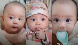 全家听我心声吃瓜全集免费观看