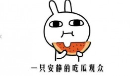 免费吃瓜事件,揭秘网络事件背后的狂欢盛宴