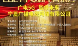 宁夏卫视在线直播观看