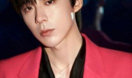 媒体爆料刘宇宁视频播放,媒体爆料背后真相揭晓