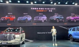 抽车最新爆料新闻视频,抽车行业动态揭秘，视频揭露惊人内幕