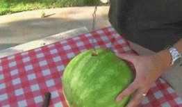 网红吃瓜八卦合集,八卦合集深度解析