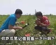 为了吃瓜进娱乐圈晋江
