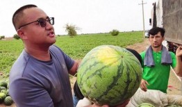五一免费吃瓜观看,免费吃瓜，畅享视听盛宴！