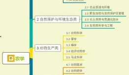 谢娜早餐爆料视频大全集,揭秘明星日常饮食生活