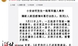 石家庄网友爆料新闻,惊现神秘事件，真相令人震惊！