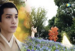 白发王妃电视剧在线观看,穿越时空的爱恋，揭秘神秘白发王妃传奇人生