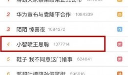 扬州导游爆料事件视频完整版,揭秘背后真相