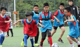 国足家长爆料视频,孩子训练幕后辛酸与期望