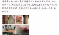 西瓜视频薛之谦爆料,揭秘娱乐圈不为人知的真相