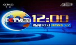 央视新闻爆料多少钱一天,揭秘一天生成一个的神秘项目，究竟花费多少资金？