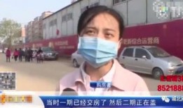 石家庄网友爆料新闻,惊现神秘事件，真相令人震惊！