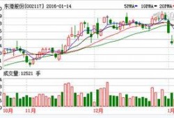 东港股份最新爆料新闻,揭秘公司重大战略布局与未来发展动向