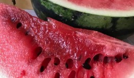 雷子爆料西瓜视频,西瓜视频背后的秘密大揭秘！