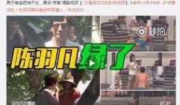 向文文前员工爆料视频,内幕惊人