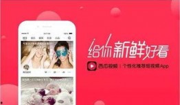 雷子爆料西瓜视频,西瓜视频背后的秘密大揭秘！