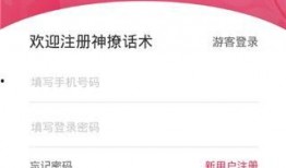 新闻爆料话术大全最新,掌握舆论风向，轻松驾驭信息传播