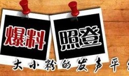 新嘉坡最新爆料新闻,揭秘城市热点事件背后的真相