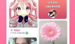 寒鸦技能爆料最新视频下载,视频爆料背后的强大功能解析