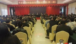平乡爆料最新事件新闻,揭秘XX真相，引发社会关注